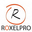 RoxelPro